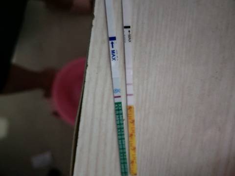 journal_insert_pic_1102383213