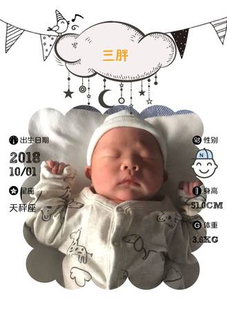 journal_insert_pic_1103715296
