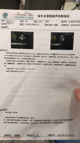 journal_insert_pic_1106124524