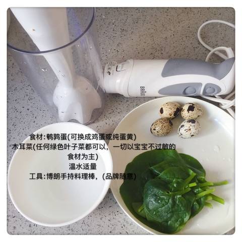journal_insert_pic_1106510284