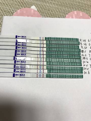 journal_insert_pic_1106386970