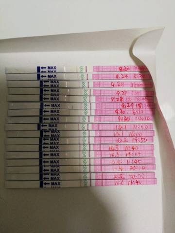 journal_insert_pic_1106290587