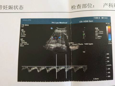 journal_insert_pic_1106121663