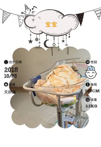 journal_insert_pic_1106047759
