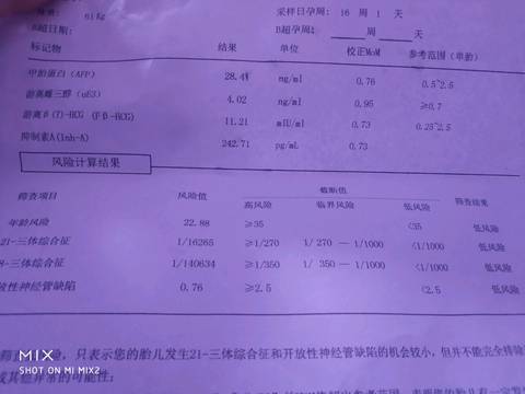 journal_insert_pic_1107235088