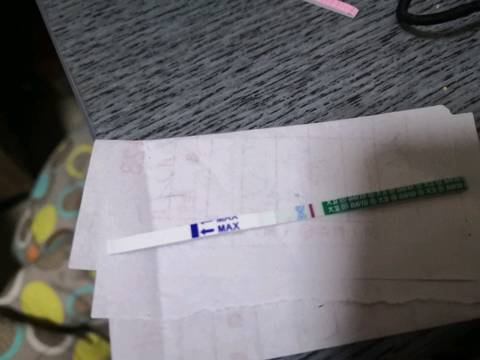 journal_insert_pic_1107555972