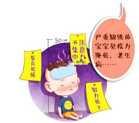 journal_insert_pic_1108050647