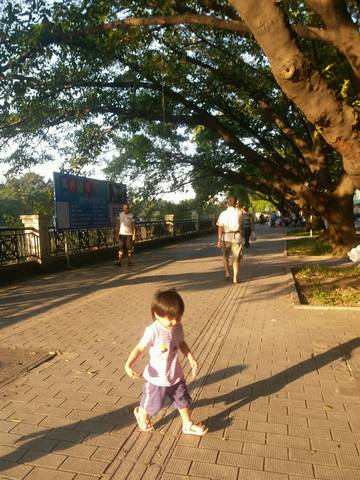 journal_insert_pic_1107545583