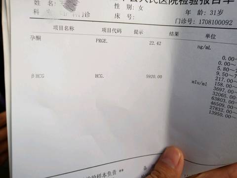 journal_insert_pic_1108026161