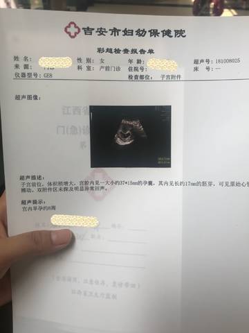 journal_insert_pic_1108059585