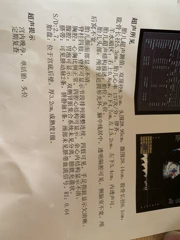 journal_insert_pic_1107538420