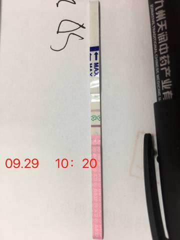 journal_insert_pic_1108082040
