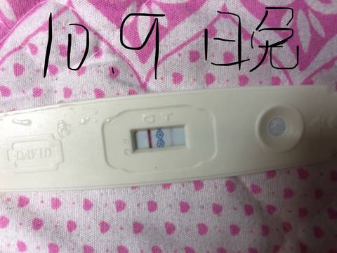 journal_insert_pic_1108868908
