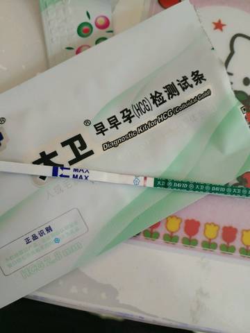 journal_insert_pic_1108471402