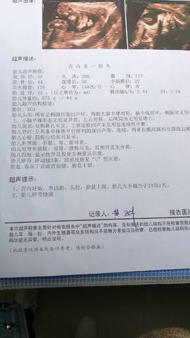 journal_insert_pic_1108505297
