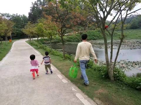 journal_insert_pic_1108561194