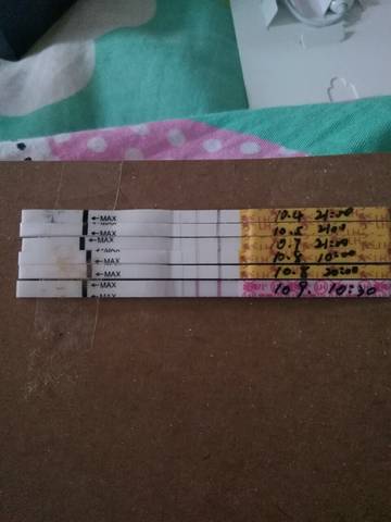 journal_insert_pic_1108418955