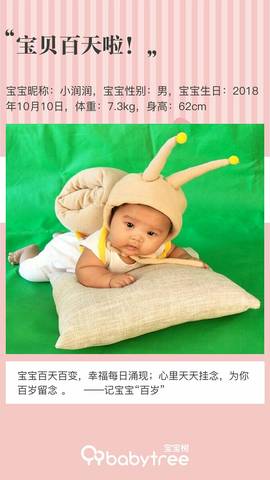 journal_insert_pic_1109248084