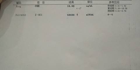 journal_insert_pic_1109403769