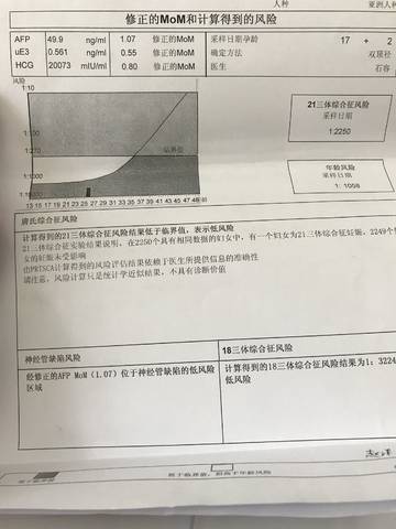 journal_insert_pic_1109250209