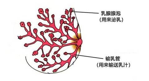 journal_insert_pic_1109091305