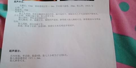 journal_insert_pic_1109287309