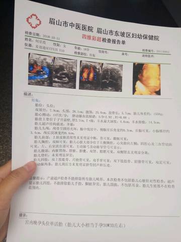 journal_insert_pic_1110042096