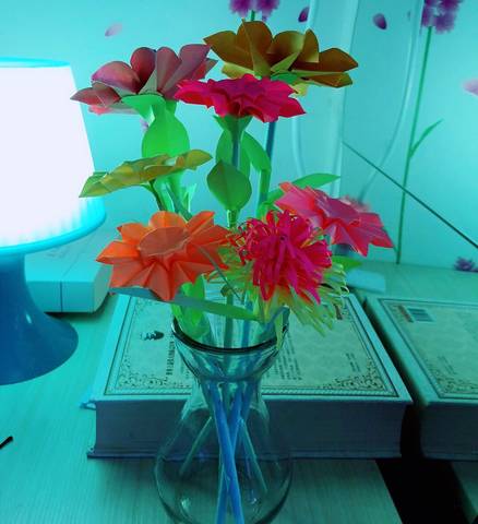 journal_insert_pic_1110287237