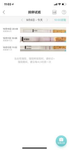 journal_insert_pic_1110294469