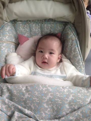 journal_insert_pic_1110492144