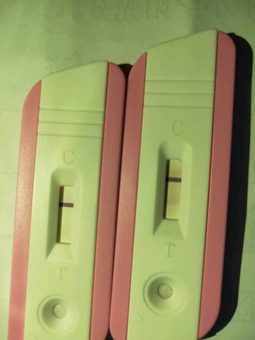 journal_insert_pic_1110559062