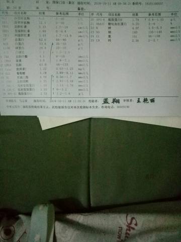 journal_insert_pic_1111075761