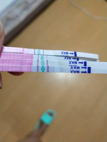journal_insert_pic_1111155834