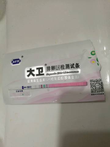 journal_insert_pic_1110752628