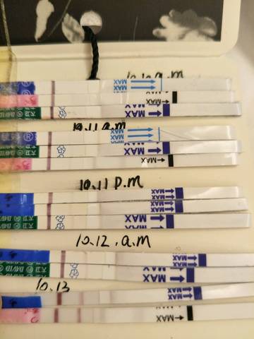 journal_insert_pic_1111053553