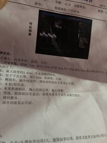 journal_insert_pic_1111284890