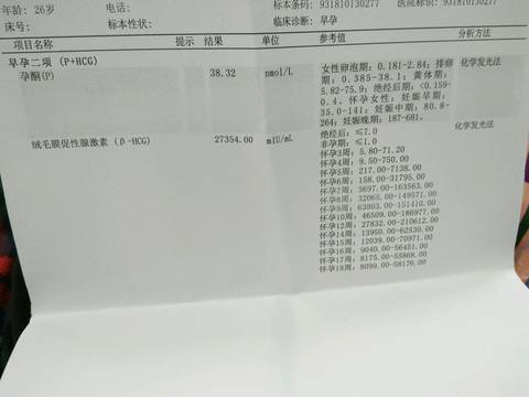 journal_insert_pic_1111434479