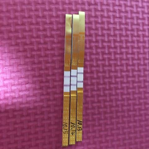 journal_insert_pic_1112311633