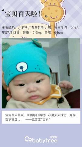 journal_insert_pic_1112222128
