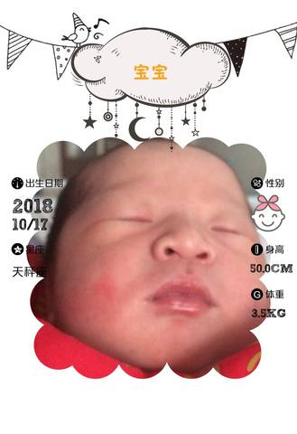 journal_insert_pic_1113310462