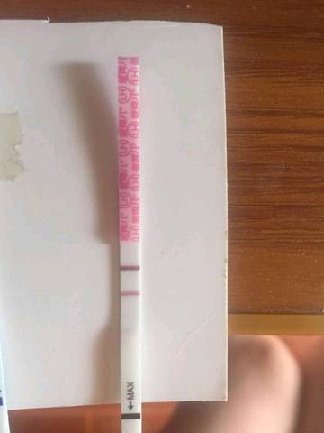 journal_insert_pic_1114042126