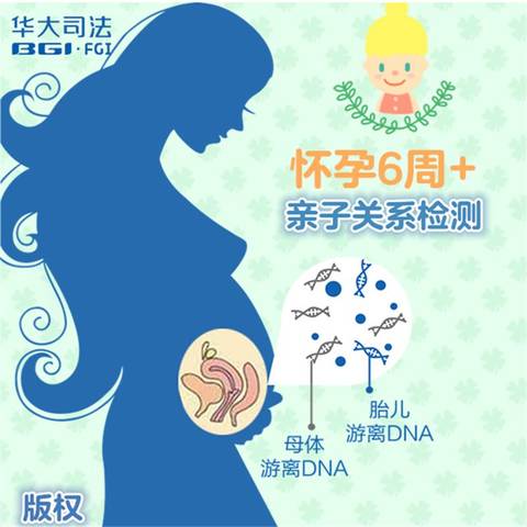 journal_insert_pic_1114003226