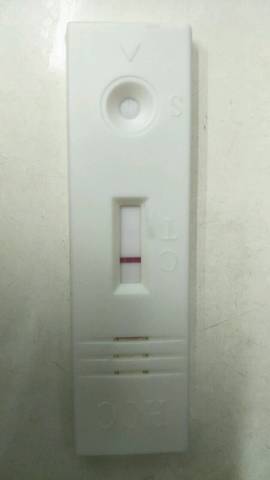 journal_insert_pic_1113975164