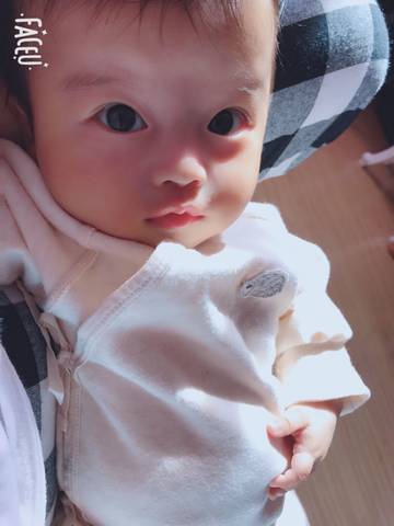 journal_insert_pic_1114721826
