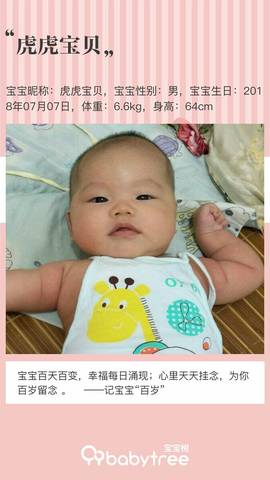 journal_insert_pic_1114713974