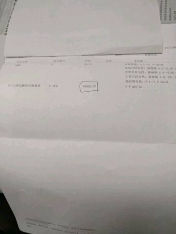 journal_insert_pic_1114877643