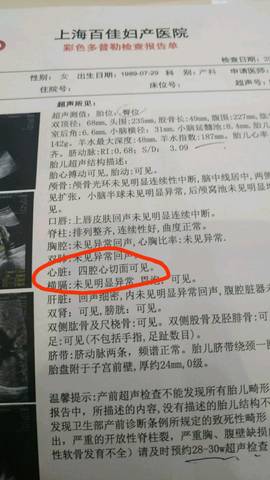 journal_insert_pic_1115046455