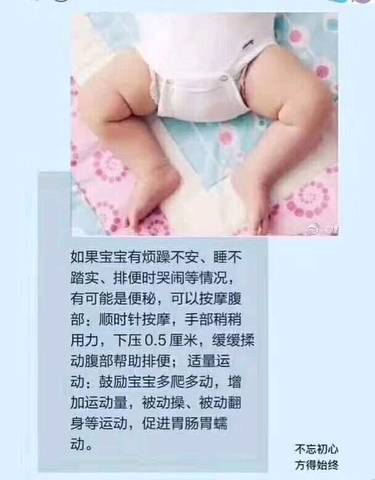 journal_insert_pic_1116026008
