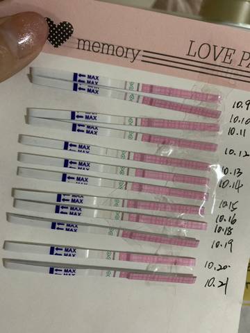 journal_insert_pic_1116065250