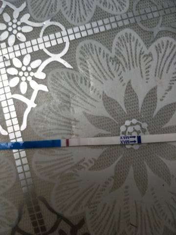 journal_insert_pic_1115493464